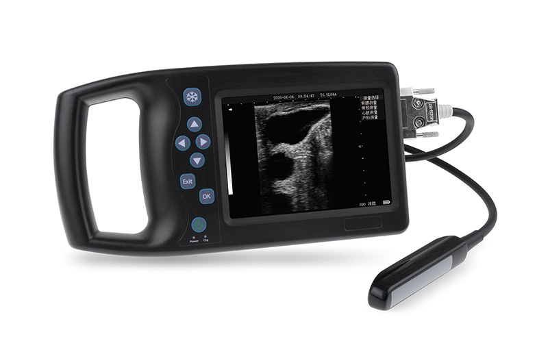 A8 All-digital B-ultrasound diagnostic instrument for cattle
