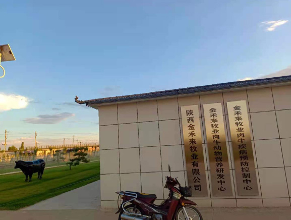 万头级牛场