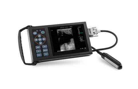 A20 full digital B-ultrasound diagnostic instrument for cattle